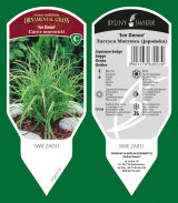 dekoratyviniai augalai: daugiamečiai augalai, žolė, žolelės, paparčiai 27